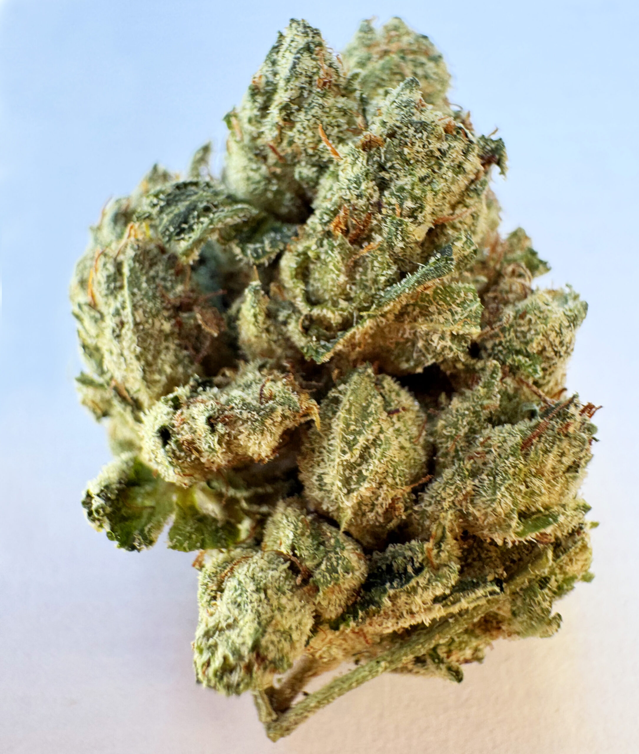 SFV OG nice! Indica