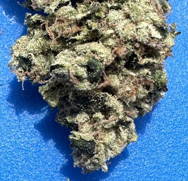 Grape Durbz