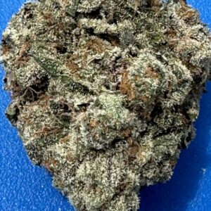 Apple Tartz - Hybrid