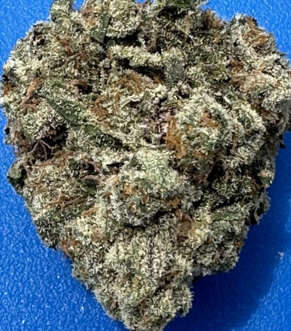Apple Tartz - Hybrid