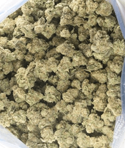 Zkittlez - 5g special. Tiny nugs