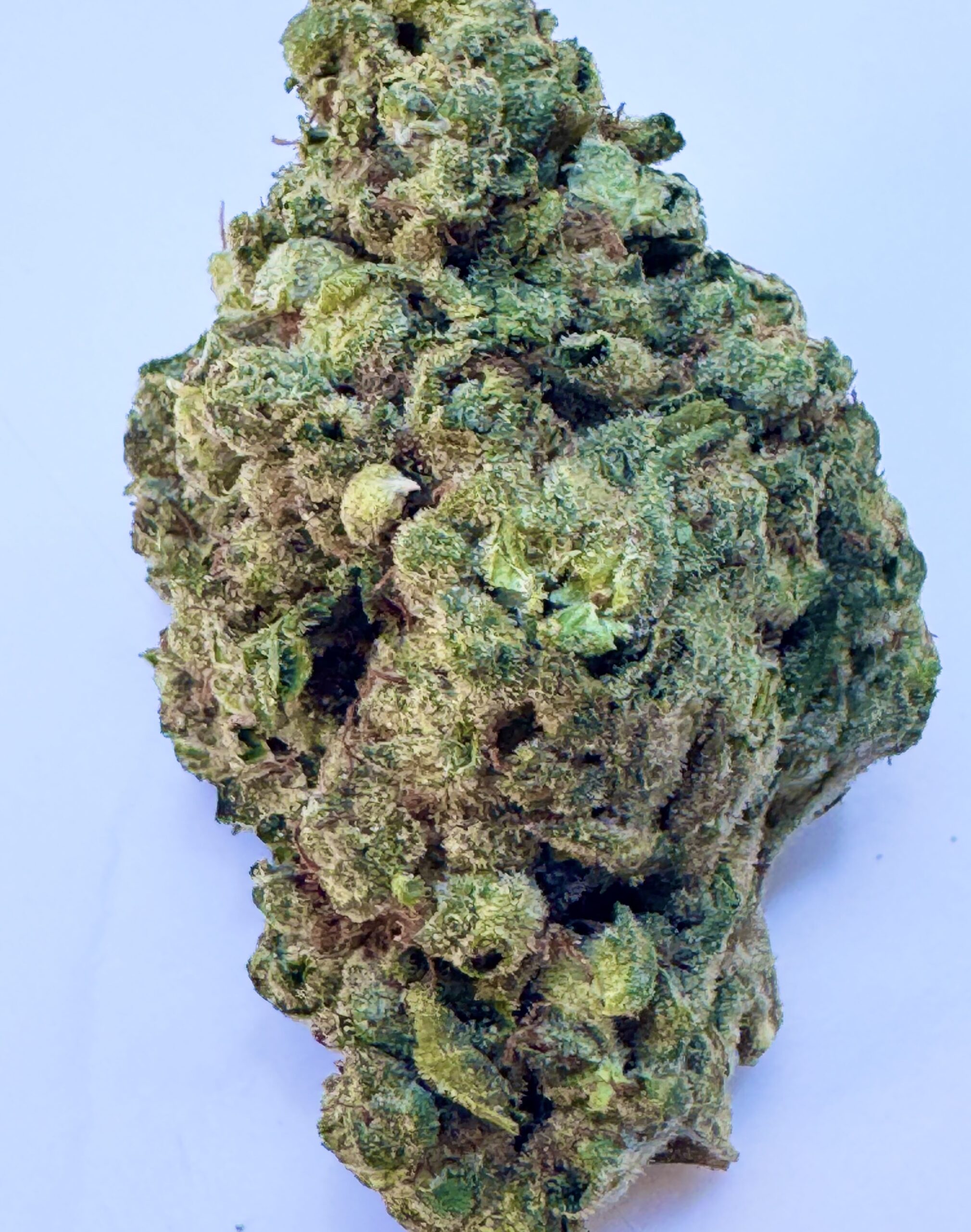 Kush Mints - Indica (super nice buds) 14g only $120!