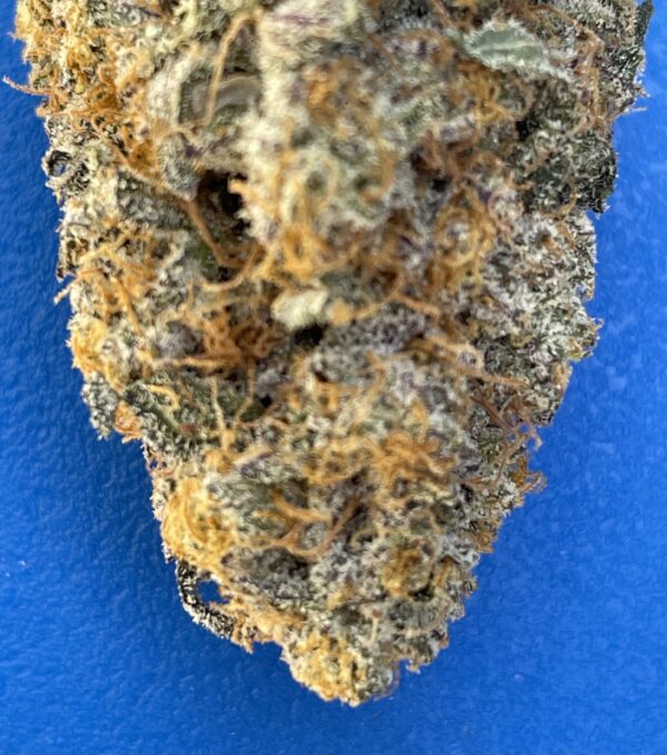 Yoda OG