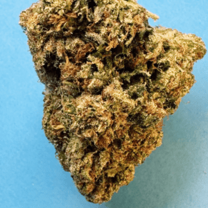 Godfather OG. - Indica