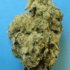 BLUE  RITZ    -Sativa