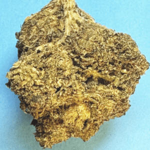 Night Grass  -  Indica