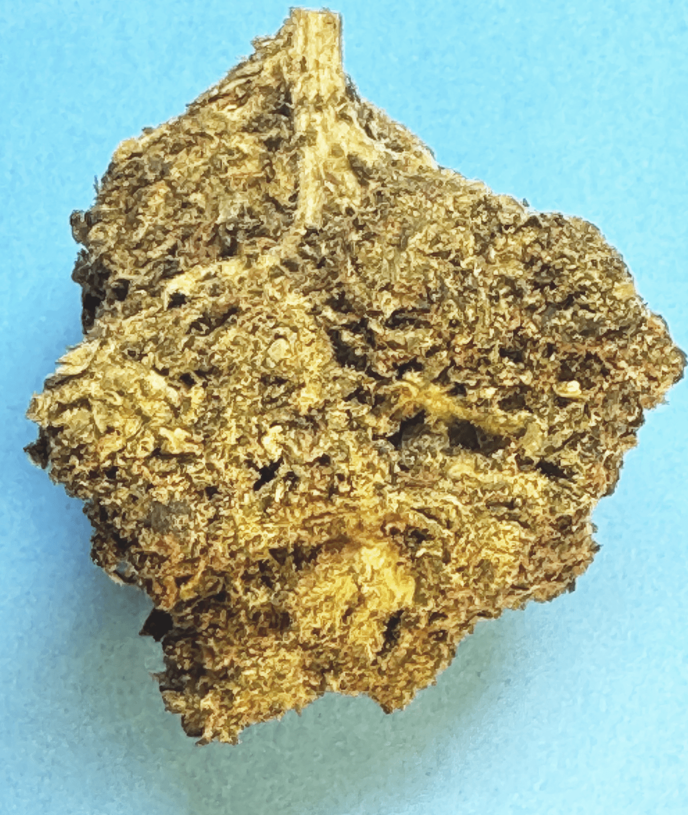 Night Grass - Indica