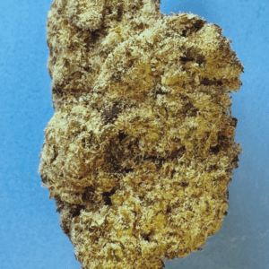 PUSH POP - Indica Dominant Hybrid (potent)