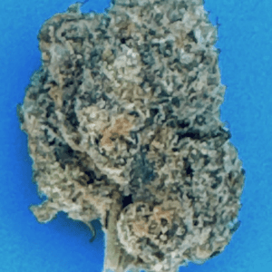 -Curelato (50/50 Strain)