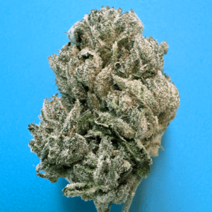 -Ghost OG  Sativa