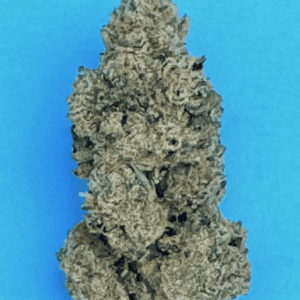 Jack Attack  (A Classic)