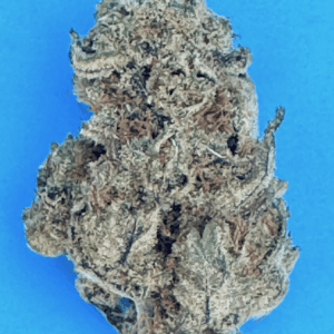 Lemon Tree  (50/50 Hybrid, Seattle Cannabis Cup)