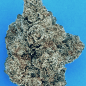 -XXX OG  (Prior Cannabis Cup Winner)