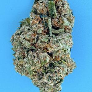 King Louis    Indica