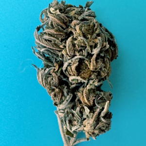 Elevate OG - 5g Special - Indica