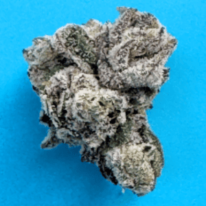 .YSL - Sativa