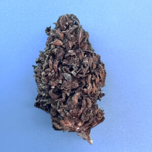 Elevate OG - 5g Special  -  Indica