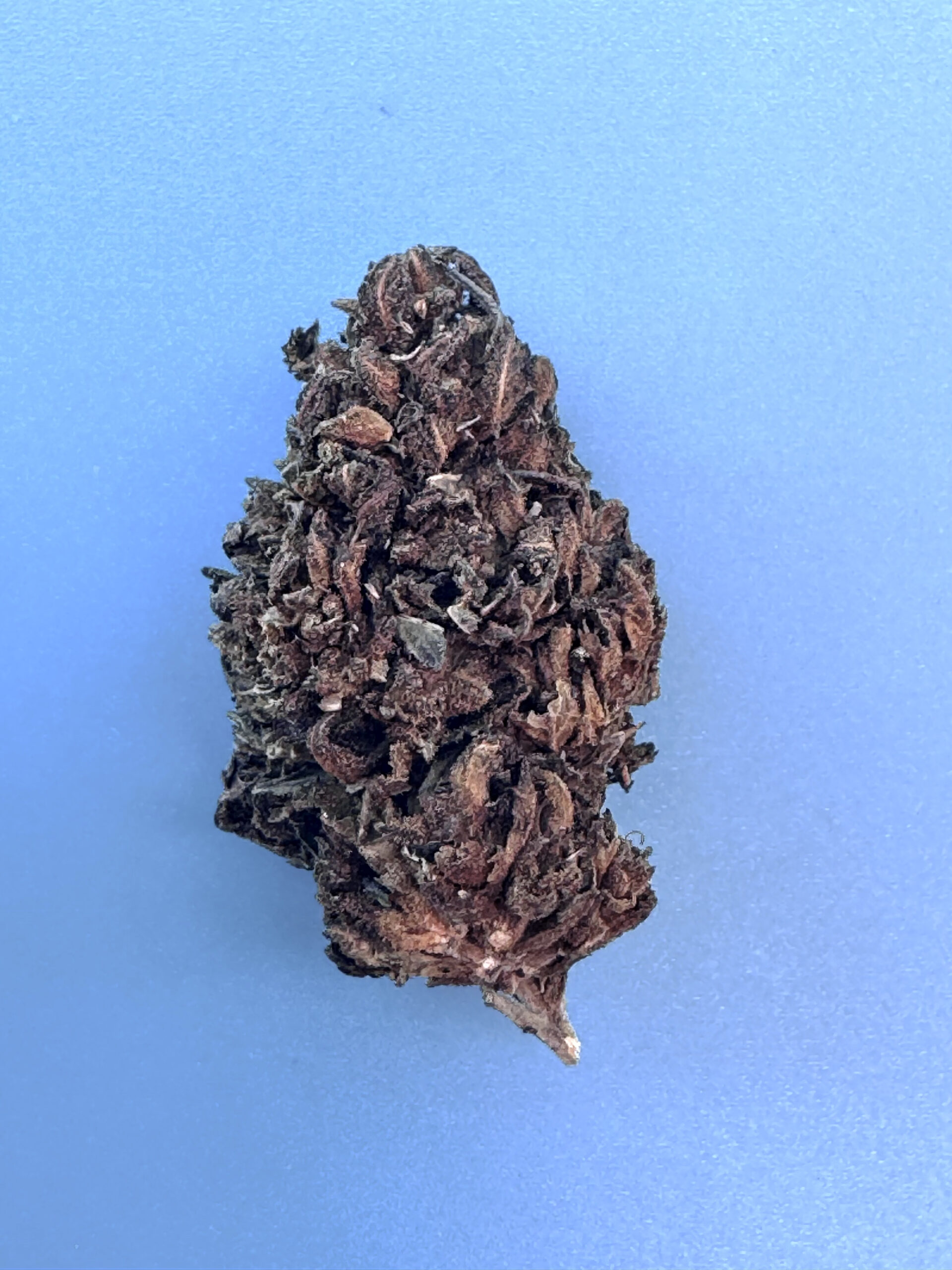Elevate OG - 5g Special - Indica